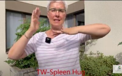 T wie Triple Warmer-Spleen Hug